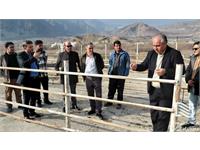 بازدید مدیر عامل شرکت از محوطه قرنطنیه و تخلیه و بارگیری دام زنده 4