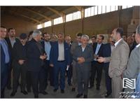 دکتر کاظم سلیمی مدیر عامل و نایب رئیس هیات مدیره شرکت انبارهای عمومی و خدمات گمرکی ایران در هفتمین جلسه کارگروه مبارزه با