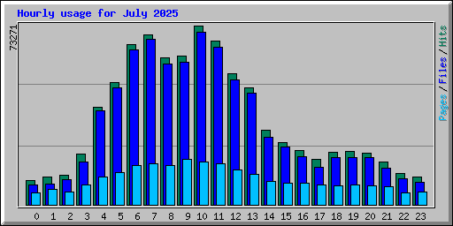 Hourly usage for July 2025